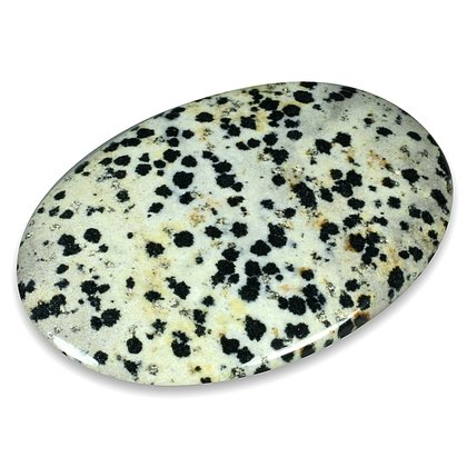 Dalmatian Jasper Palm Stone
