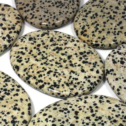 Dalmatian Jasper Palm Stone ~70x50mm