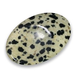 Dalmatian Jasper Thumb Stone