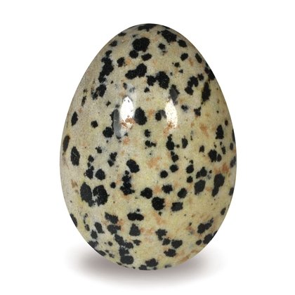 Dalmation Jasper Crystal Egg ~48mm