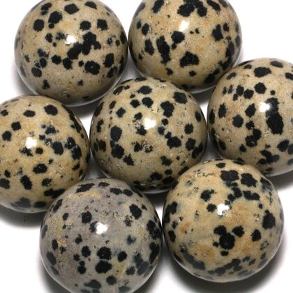 Dalmation Jasper Crystal Sphere ~25mm