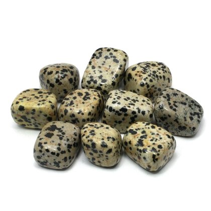 Dalmation Jasper Tumble Stone (20-25mm)