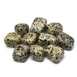 Dalmation Jasper Tumble Stone (20-25mm)