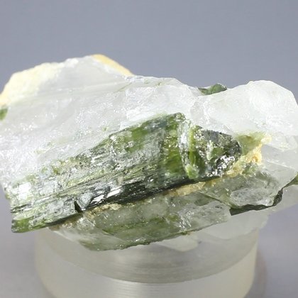 Dark Green Tourmaline in Quartz ~56mm