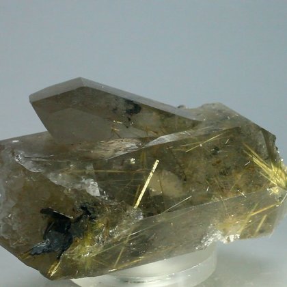 DELIGHTFUL Smoky Quartz with Golden Rutile Cluster ~49mm