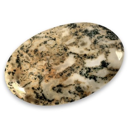 Dendritic Agate Palm Stone (Merlinite)