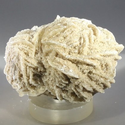 Desert Rose ~6cm