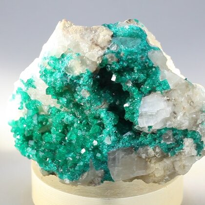 STRIKING Dioptase Mineral Specimen ~47mm