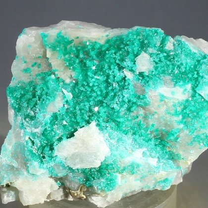 Dioptase Mineral Specimen ~55mm