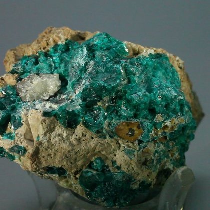 EXTRA LARGE Dioptase Mineral Specimen ~63mm