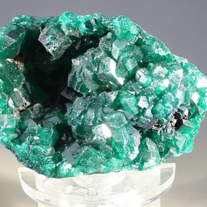 Dioptase Mineral Specimen (DRC) ~43mm