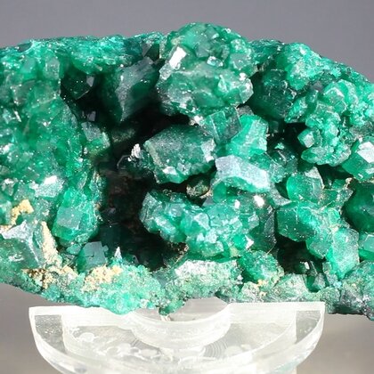 Dioptase Mineral Specimen (DRC) ~58mm