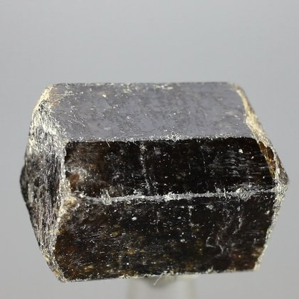 Dravite (Brown Tourmaline) Healing Crystal (India) ~27mm