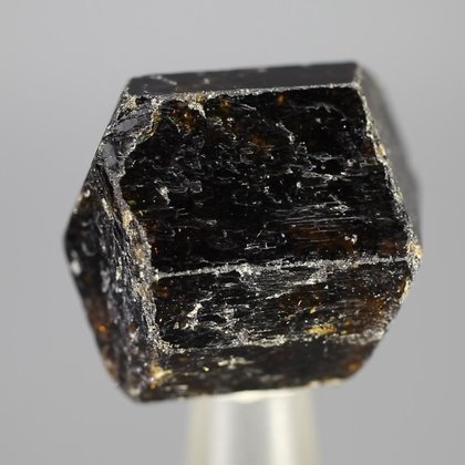 Dravite (Brown Tourmaline) Healing Crystal (India) ~29mm