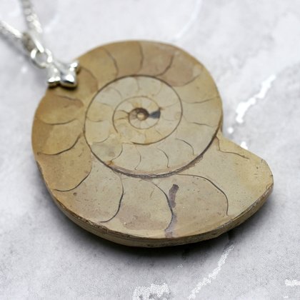 English Jurassic Ammonite Fossil Pendant - 44mm