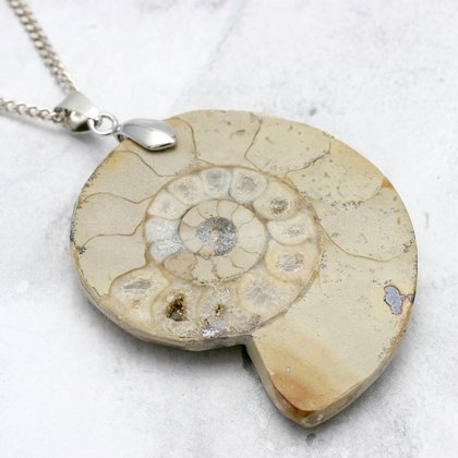 English Jurassic Ammonite Fossil Pendant - 47mm