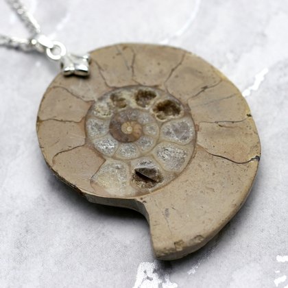 English Jurassic Ammonite Fossil Pendant - 47mm