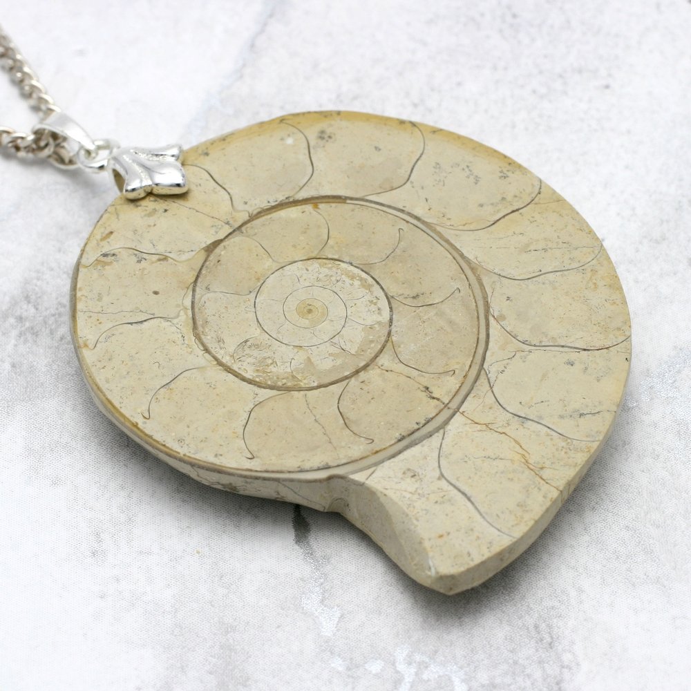ammonite fossil pendant