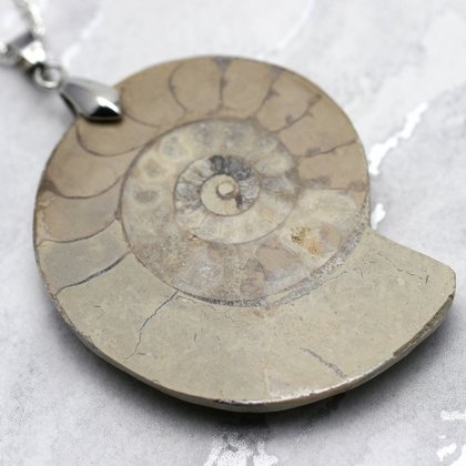 English Jurassic Ammonite Fossil Pendant - 48mm