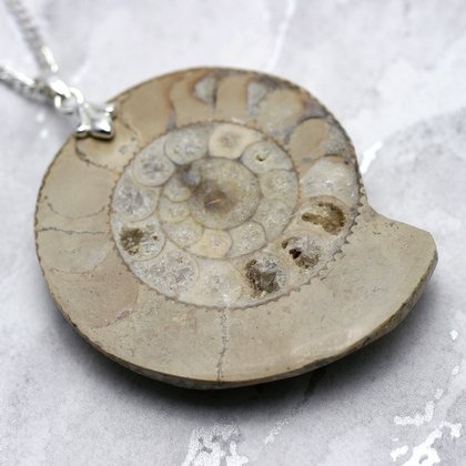 English Jurassic Ammonite Fossil Pendant - 50mm