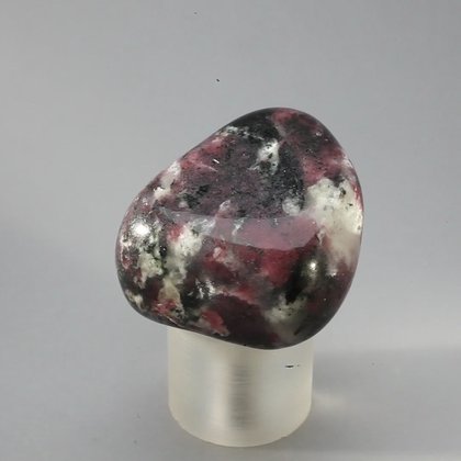 Eudialyte Tumblestone ~33mm