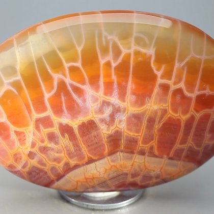 Fire Agate Palmstone (Extra Grade) ~70 x 50 mm