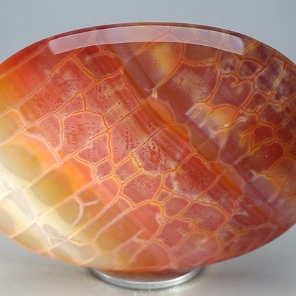 Fire Agate Palmstone (Extra Grade) ~70 x 50mm