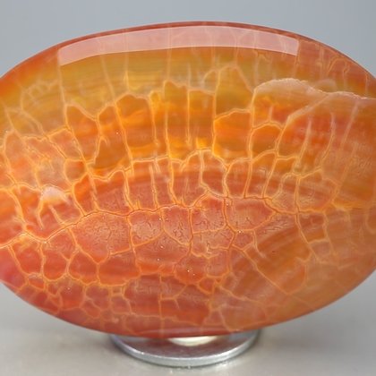 Fire Agate Palmstone (Extra Grade) ~70 x 50mm