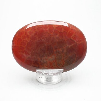 Fire Agate Palmstone (Extra Grade) ~70x50mm