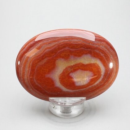 Fire Agate Palmstone (Extra Grade) ~70x50mm