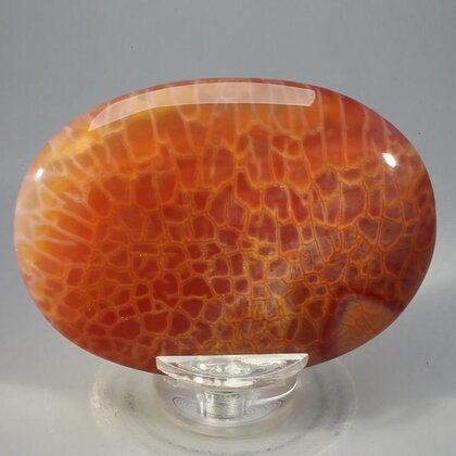 Fire Agate Palmstone (Extra Grade) ~70x50mm