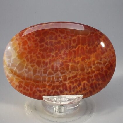 Fire Agate Palmstone (Extra Grade) ~70x50mm