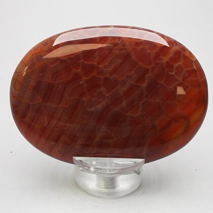 Fire Agate Palmstone (Extra Grade) ~70x50mm