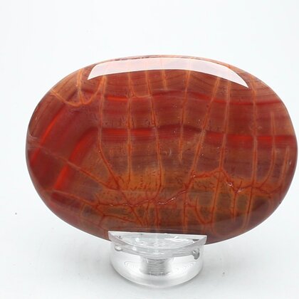 Fire Agate Palmstone (Extra Grade) ~70x50mm
