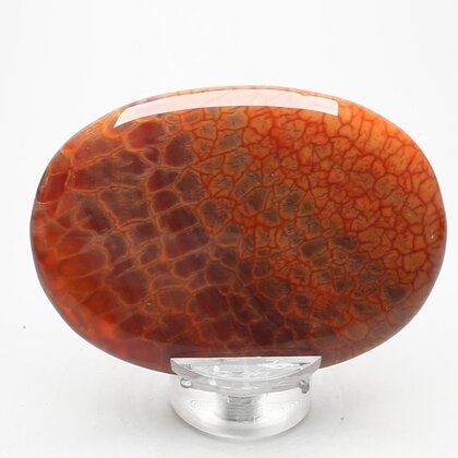 Fire Agate Palmstone (Extra Grade) ~70x50mm