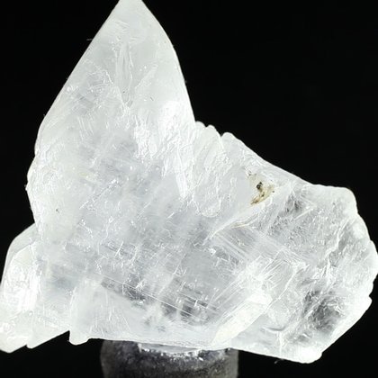 Fishtail Gypsum Healing Crystal ~60mm