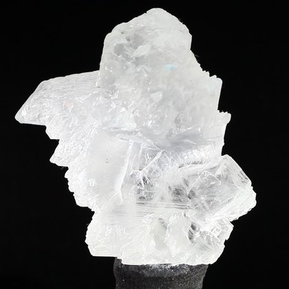Fishtail Gypsum Healing Crystal ~62mm