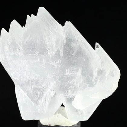 Fishtail Gypsum Healing Crystal ~63mm