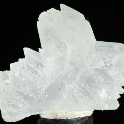 Fishtail Gypsum Healing Crystal ~64mm