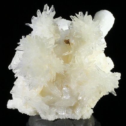 Flos Ferri Aragonite Healing Mineral ~34mm