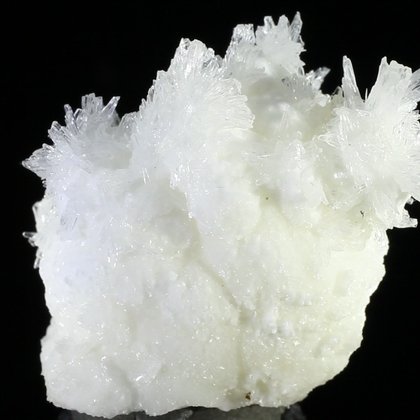 Flos Ferri Aragonite Healing Mineral ~35mm