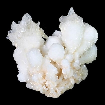 Flos Ferri Aragonite Healing Mineral ~35mm