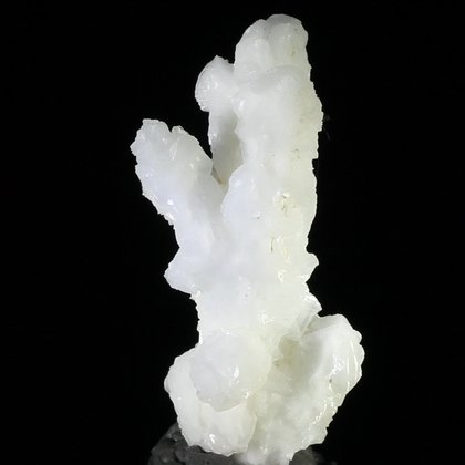 Flos Ferri Aragonite Healing Mineral ~45mm