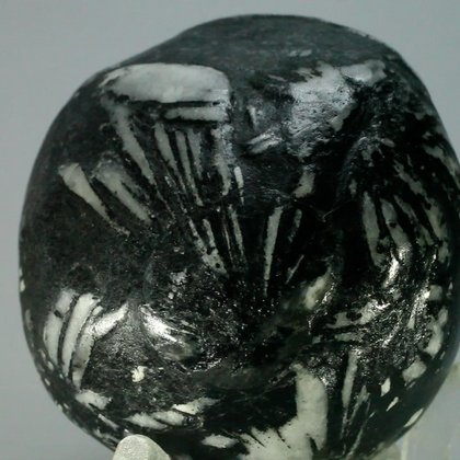 Flower Stone ~48mm