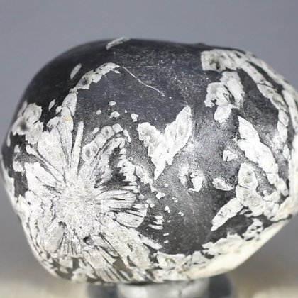 Flower Stone ~48mm