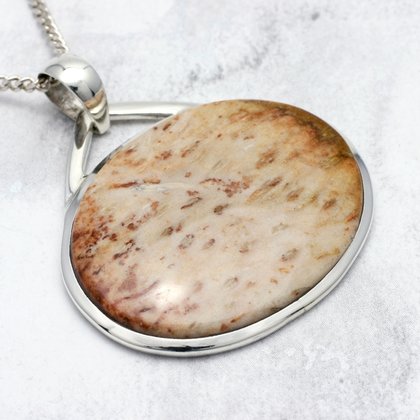 Fossil Wood & Silver Pendant - Wide Oval (42mm)