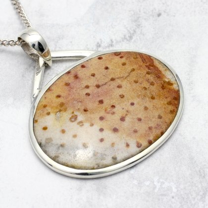 Fossil Wood & Silver Pendant - Wide Oval (42mm)