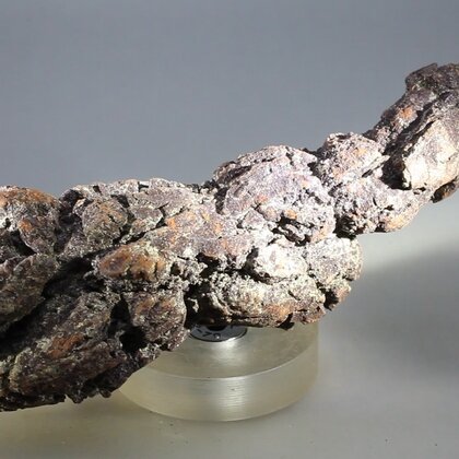Fossilised Coprolite ~100mm