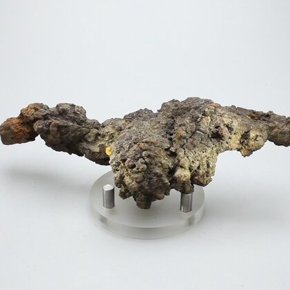 Fossilised Coprolite ~130mm