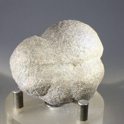 Fossilised Coprolite ~43mm